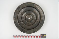 Foto von Bronzephalere (NHMW-PRAE-025640)
